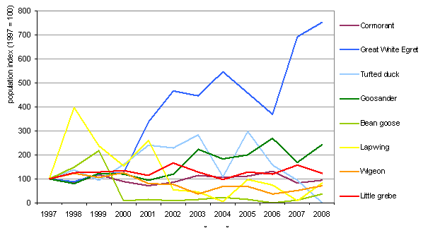 Population fluctuation of selected wintering species: cormorant (Phalacrocorax carbo), tufted duck (Aythya fuligula), goosander (Mergus merganser), great white egret (Egretta alba), bean goose (Anser fabalis), lapwing (Vanellus vanellus), (Eurasian) wigeon (Anas penelope), little grebe (Tachybaptus ruficollis)